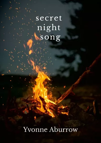 Secret Night Song, poetry collection